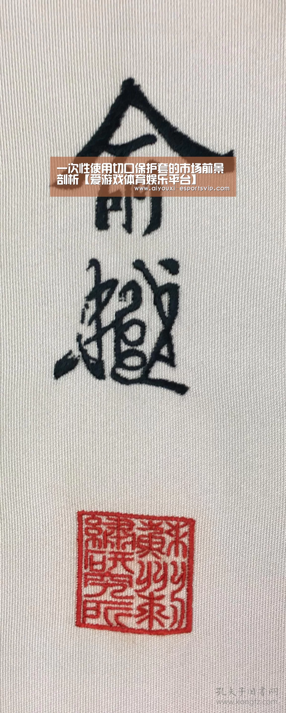 爱游戏体育赛事直播