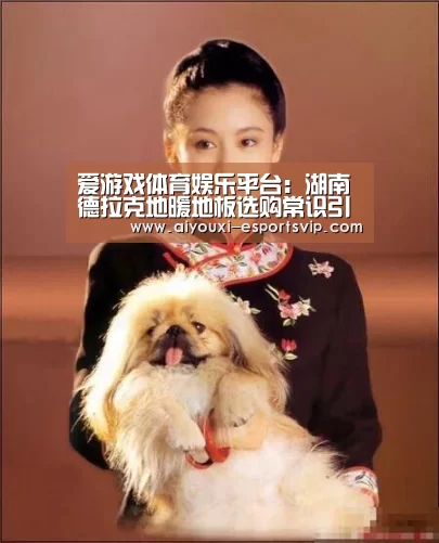 爱游戏体育娱乐平台